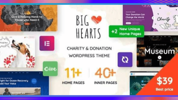 BigHearts Theme GPL v3.1.3 – Charity & Donation WordPress Theme