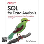 Turn SQL Skills into Meaningful Data Insights