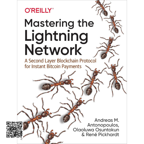 Understand the Lightning Network AISKILLSOURCE.COM